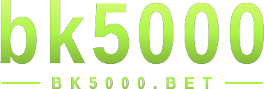 bk5000 logo